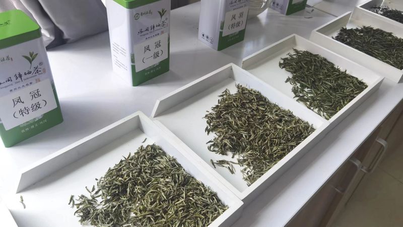 有关于《凤冈锌硒茶“凤头羽”团体标准体系》召开技术审查会的相关信息(1)