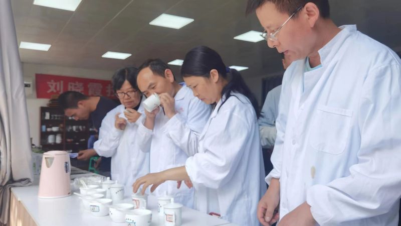 有关于《凤冈锌硒茶“凤头羽”团体标准体系》召开技术审查会的相关信息(3)