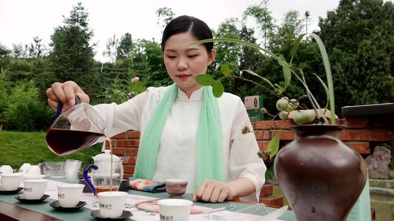 关于广西南丹：发展茶经济 富农助振兴的新闻