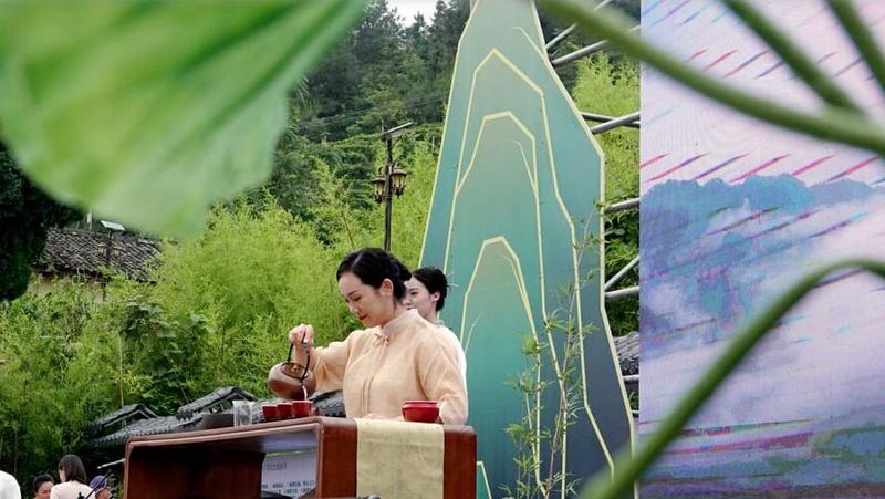 关于广西南丹：发展茶经济 富农助振兴的新闻(1)