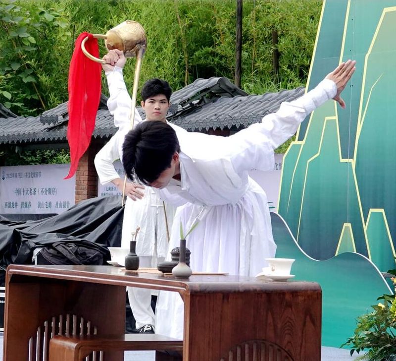 关于广西南丹：发展茶经济 富农助振兴的新闻(6)