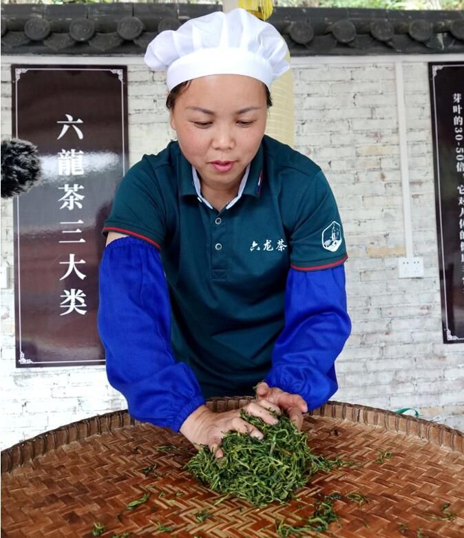 关于广西南丹：发展茶经济 富农助振兴的新闻(7)