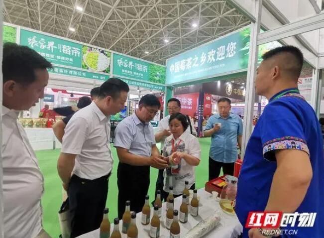 关于张家界老班子莓茶（谢家垭）获第十一届（呼和浩特）中国亚泰茶博会特别金奖的相关信息(3)