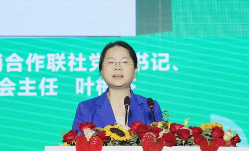 关于第三届广西六堡茶产业发展论坛在广州成功举办的最新消息(2)