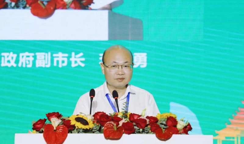 关于第三届广西六堡茶产业发展论坛在广州成功举办的最新消息(4)