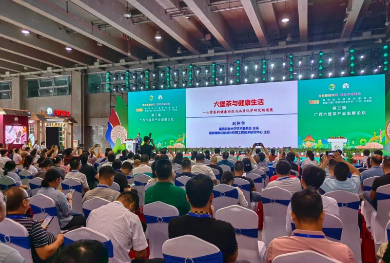 关于第三届广西六堡茶产业发展论坛在广州成功举办的最新消息(7)