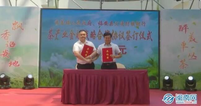 关于2023年诏安单丛茶推介会暨茶王赛颁奖仪式成功举办的相关内容(2)