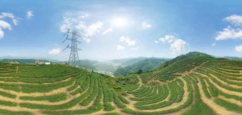 有关于一周速读：茶叶生态产品价值、茶包装新国标、新式茶饮市场规模2938.5亿的资讯(6)