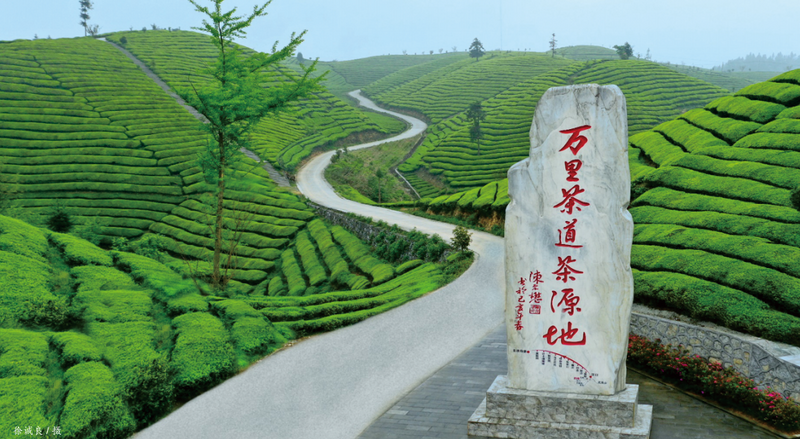 有关于一周速读：茶叶生态产品价值、茶包装新国标、新式茶饮市场规模2938.5亿的资讯(7)