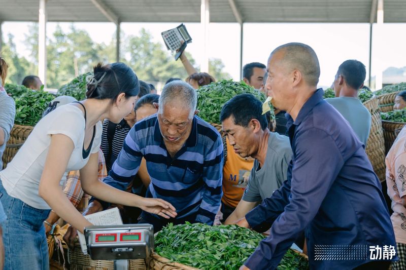 有关于“村”意盎然的中国，单日交易额超百万的茶青村市的信息(14)