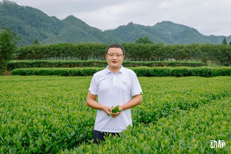 有关于“村”意盎然的中国，单日交易额超百万的茶青村市的信息(11)