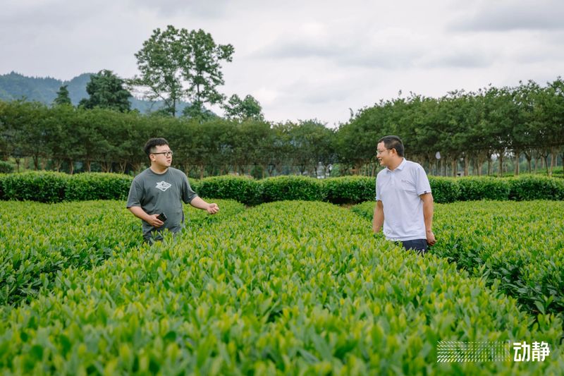 有关于“村”意盎然的中国，单日交易额超百万的茶青村市的信息(12)