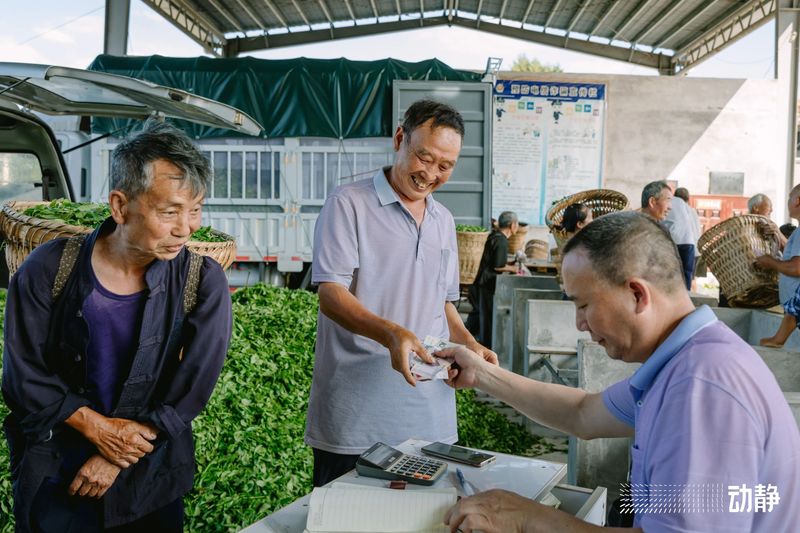 有关于“村”意盎然的中国，单日交易额超百万的茶青村市的信息(16)