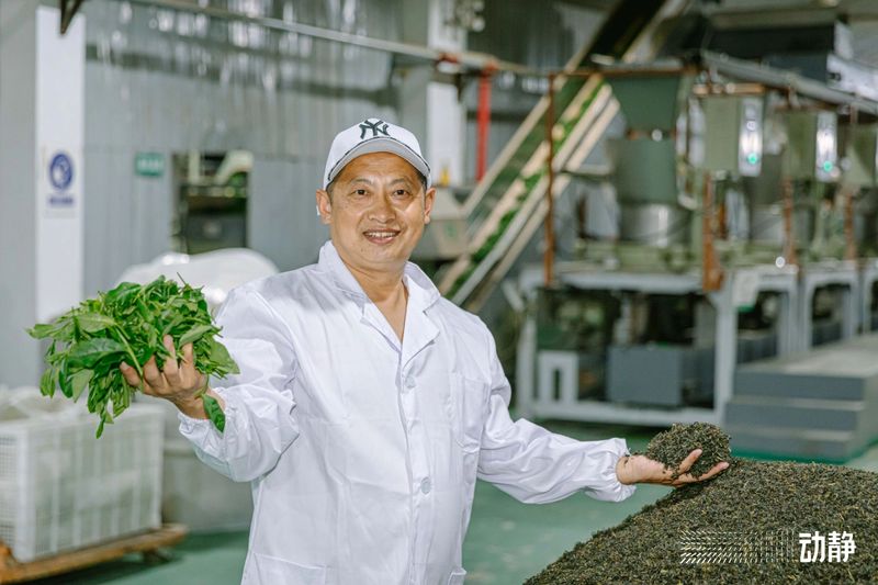 有关于“村”意盎然的中国，单日交易额超百万的茶青村市的信息(9)