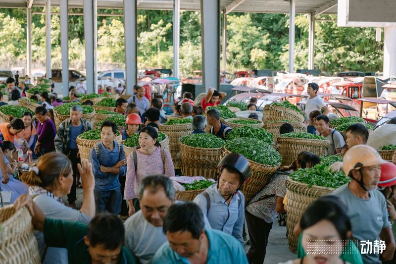 有关于“村”意盎然的中国，单日交易额超百万的茶青村市的信息