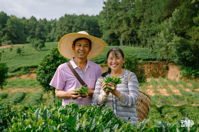 有关于“村”意盎然的中国，单日交易额超百万的茶青村市的信息(6)