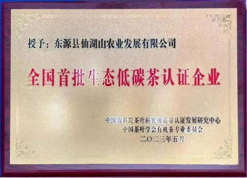 有关于小叶子“变身”大产业 东源茶产业迈入高质量发展快车道的资讯(2)