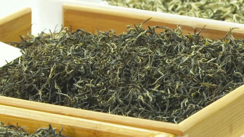 有关于小叶子“变身”大产业 东源茶产业迈入高质量发展快车道的资讯(5)