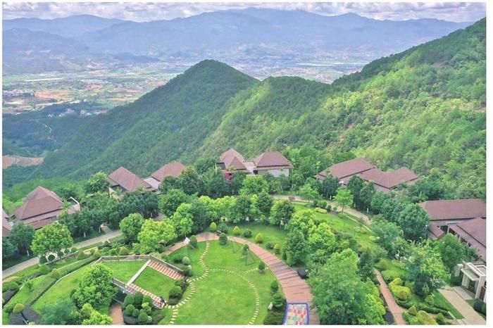 关于茶旅融合谱写和谐乐章的最新消息