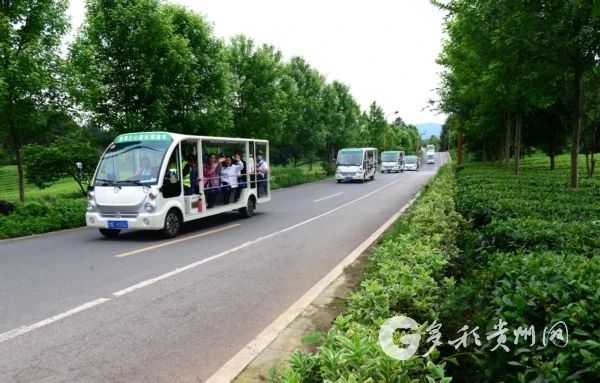 关于遵义凤冈：茶园里“长”出的4A级景区的信息(2)