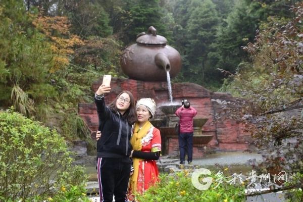 关于遵义凤冈：茶园里“长”出的4A级景区的信息(5)