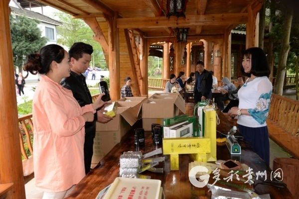 关于遵义凤冈：茶园里“长”出的4A级景区的信息(4)