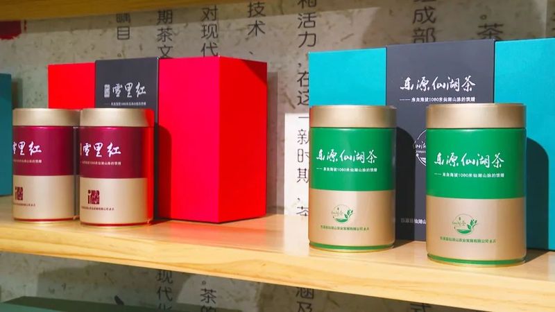 有关于小叶子“变身”大产业 东源茶产业迈入高质量发展快车道的资讯(6)