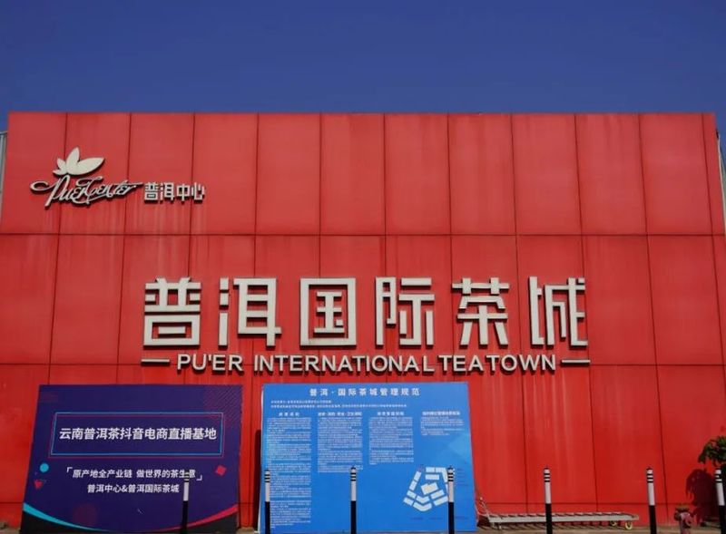 有关于普洱思茅：又到春茶飘香季 茶香满城客来早的资讯