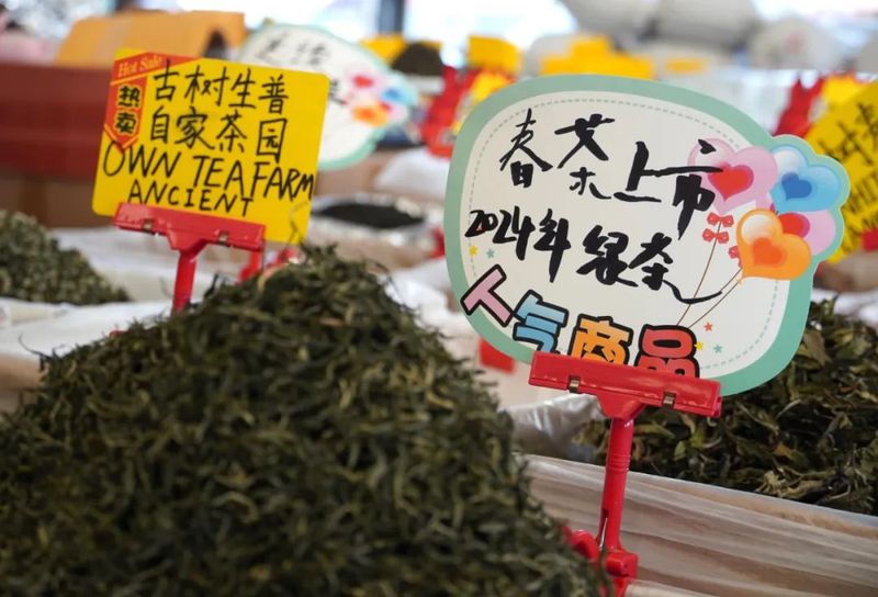 有关于普洱思茅：又到春茶飘香季 茶香满城客来早的资讯(1)