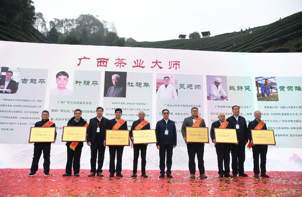 有关于壮乡春来早 桂茶香天下  2024广西春茶暨昭平有机茶开采系列活动启动仪式在贺州昭平举行的内容(2)