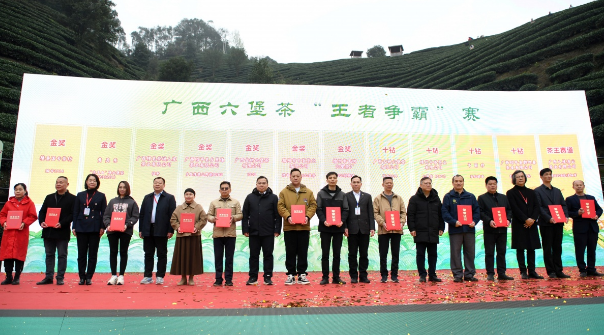 有关于壮乡春来早 桂茶香天下  2024广西春茶暨昭平有机茶开采系列活动启动仪式在贺州昭平举行的内容(3)