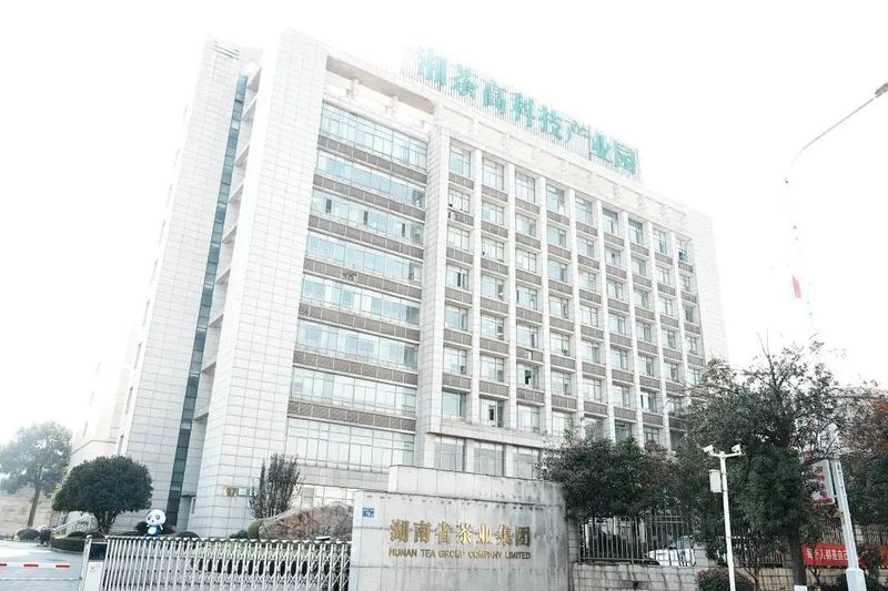 有关于“一带一路”典型案例⑦凭啥绝技，这家企业占湖南茶叶出口半壁江山？的相关内容