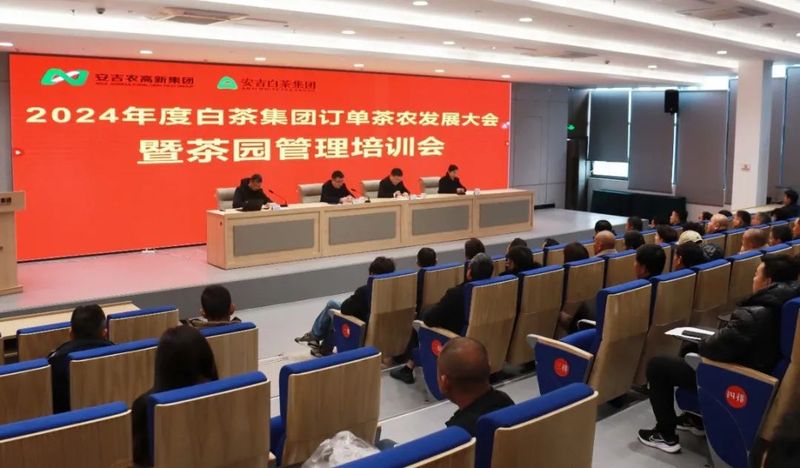 关于安吉白茶集团召开2024年度订单茶农发展大会的相关内容(3)