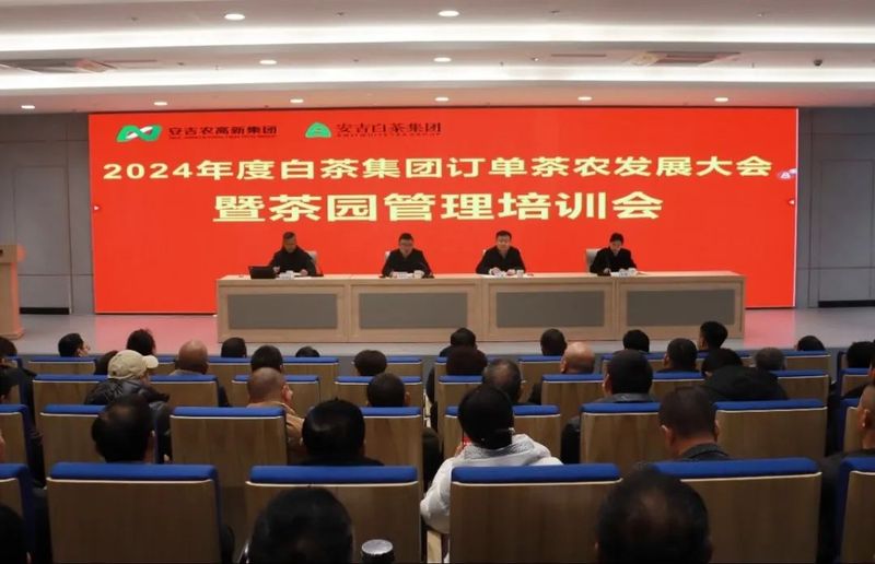 关于安吉白茶集团召开2024年度订单茶农发展大会的相关内容