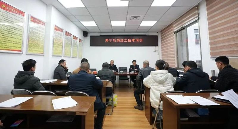 关于寿宁县茶产业发展中心举办“寿宁乌茶”加工技术培训会的相关内容