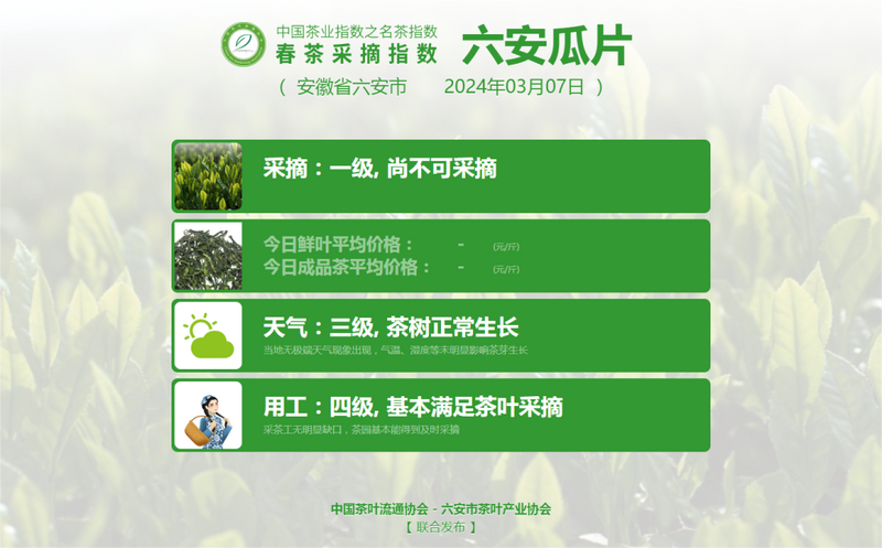 关于2024春茶采摘指数，来了~的最新消息(6)