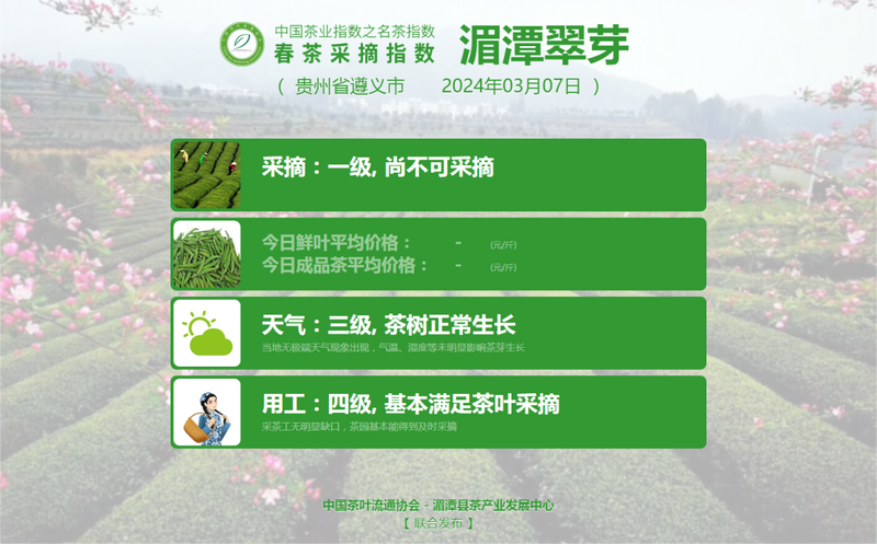 关于2024春茶采摘指数，来了~的最新消息(8)