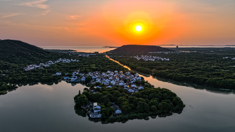 有关于吴中的“只此青绿”——洞庭山碧螺春的新闻(2)