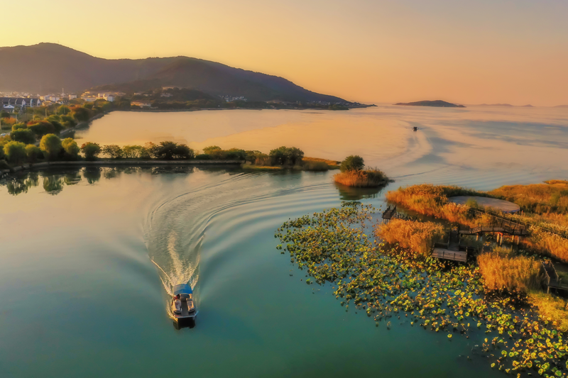 有关于吴中的“只此青绿”——洞庭山碧螺春的新闻(1)