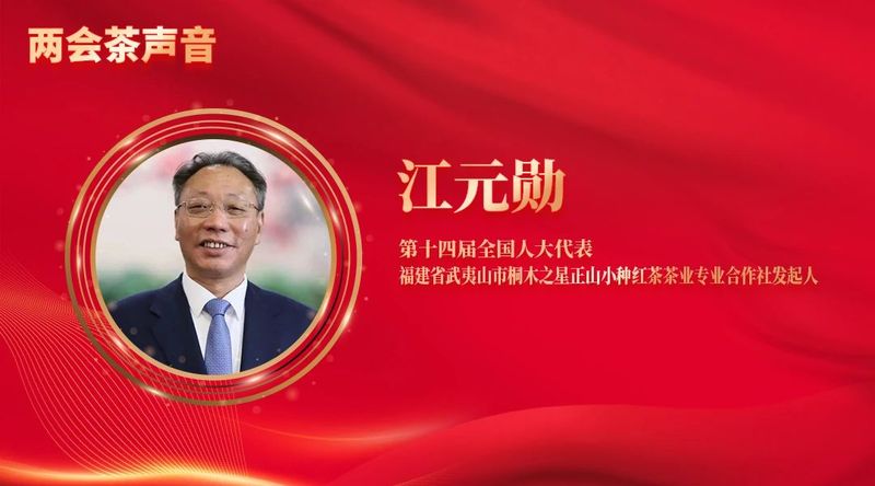 关于全国“两会”茶声来啦！这些热点值得关注的内容(5)