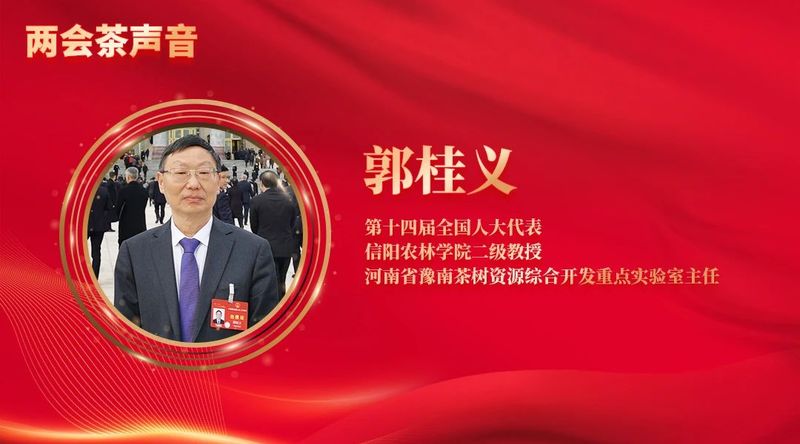 关于全国“两会”茶声来啦！这些热点值得关注的内容(6)