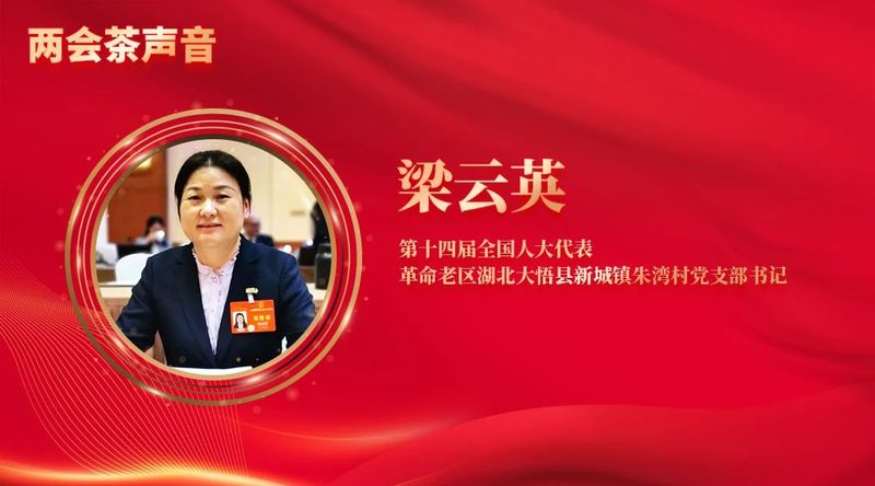 关于全国“两会”茶声来啦！这些热点值得关注的内容(8)