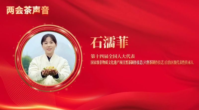 关于全国“两会”茶声来啦！这些热点值得关注的内容(10)