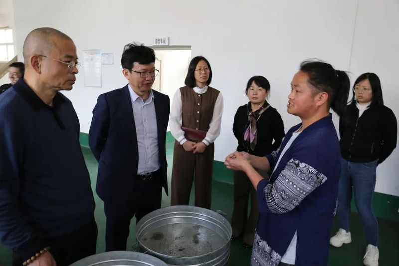 有关于贵州春茶吐新绿 茶企生产“备战”忙的信息