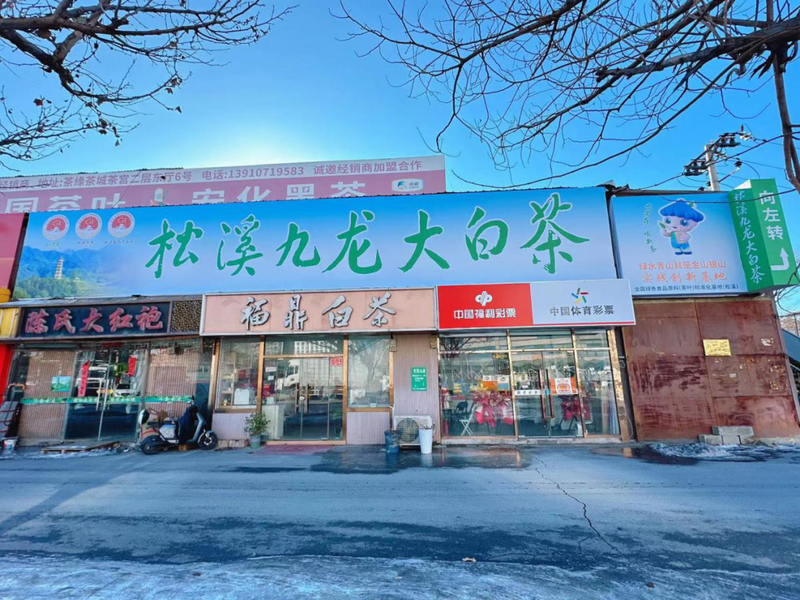 有关于松溪九龙大白茶广告在北京、济南全新亮相的信息(1)