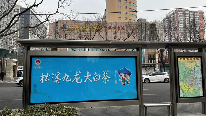 有关于松溪九龙大白茶广告在北京、济南全新亮相的信息(3)