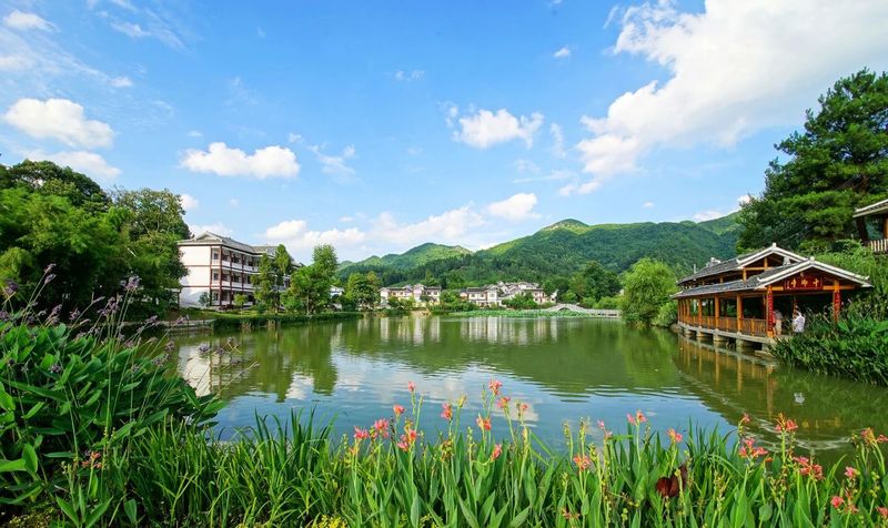 关于“一带一路”典型案例③贵州湄潭县：发挥资源优势领航茶叶出海的内容(4)