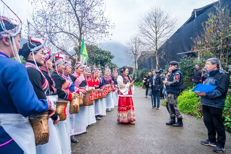 关于上春山，采春茶！景宁这里上演“指尖争霸”的信息(1)