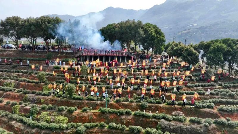 关于2024年坦洋工夫茶惊蛰喊山祭茶活动举办的相关内容(3)