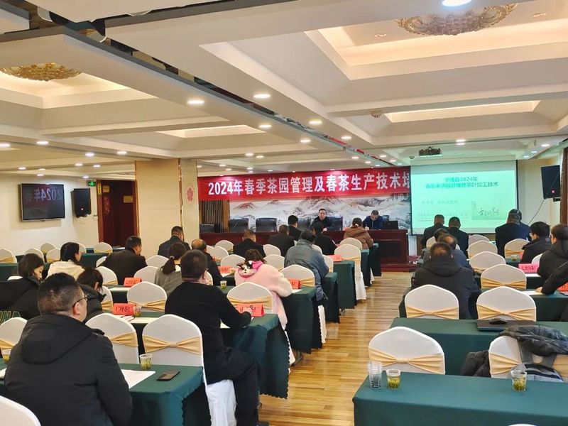 有关于宁强县召开2024年茶产业链建设暨春茶生产工作会的消息(1)